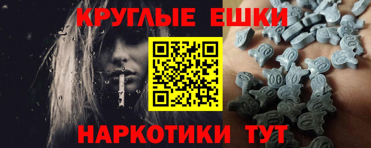 Ecstasy Дубай Сокол