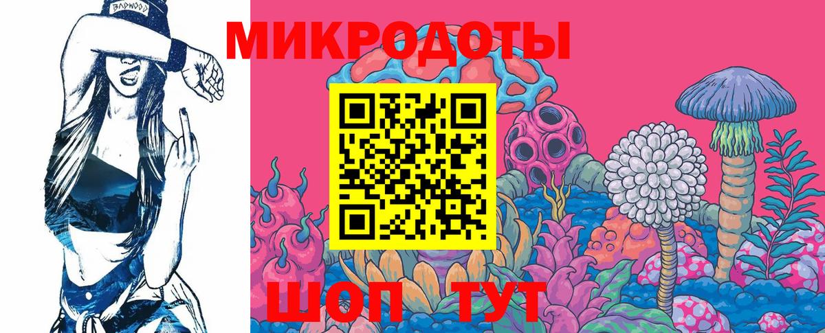 Сокол  Галлюциногенные грибы Cubensis  Вход с VPN 